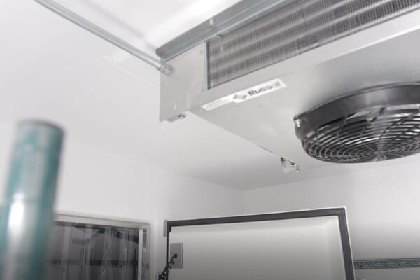 Polar King cooler ceiling view with black fan