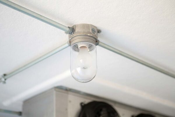 Lightbulb inside of cooler warehouse