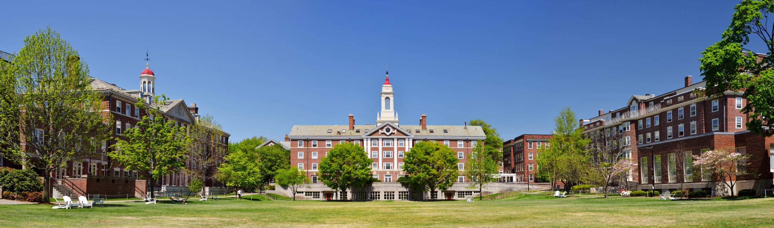 The Quad at Harvard University on a sunny day